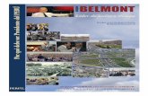Belmont 11 razones