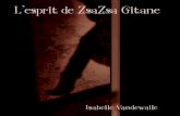 Portfolio L'esprit de ZsaZsa Gitane
