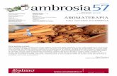 Ambrosia 57 Cannella