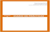 Diario practicasIII Efraim Domingo