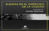Elegías en el interciso de la ciudad. Poesía (2016). Abdiel Espinoza