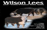 Wilson Lees Value added Bull Sale