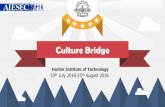 Culture bridge