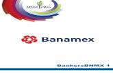 Bankers BNMX No. 1
