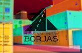 Agencia Aduanera Borjas