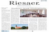 KW 21/2016 - Der "Riesaer."
