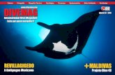 DIVEMAG | Edição 53 | International Dive Magazine