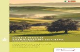 Das native olivenol extra aus Pisa - Die produktion 2015