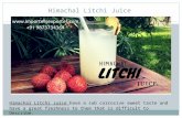 Himachal litchi juice