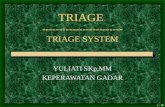 triage system