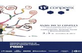 Anais do XI Conpeex – PIBID