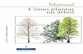 Manual cómo plantar un árbol COMPLETO