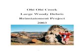 Obi Obi Creek Large Woody Debris Reinstatement Report