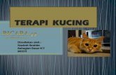 Terapi Kucing