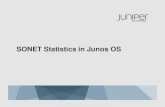 SONET Statistics in Junos OS