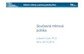 Současná měnová politika (pdf, 1,4 MB)