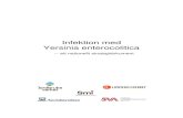 Infektion med Yersinia enterocolitica – ett nationellt strategidokument