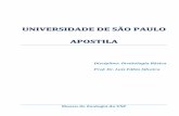 UNIVERSIDADE DE SÃO PAULO APOSTILA