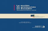 La acción de protección en Ecuador Realidad jurídica y social