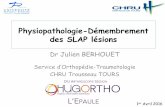 Physiopathologie-Démembrement des SLAP lésions L'EPAULE
