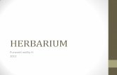 12th herbarium.pdf