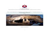 Plan upravljanja za zaštićeno prirodno dobro “Lipska pećina” u ...