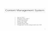 content-management-system-cms.pdf (753Kb)