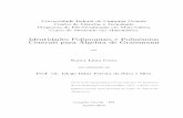 Identidades Polinomiais e Polinômios Centrais para Álgebra de ...