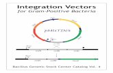 Integration Vectors