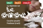 24 réponses sur la cocaïne Cocaïne poudre Freebase (crack ...