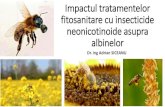 Prezentarea privind Impactul neonicotinoidelor asupra albinelor