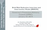 BRRIIM: Brief Risk Reduction Interview and Intervention Model