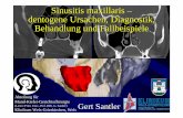 Sinusitis maxillaris – dentogene Ursachen, Diagnostik, Behandlung ...