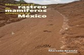 Manual para el rastreo de mamíferos silvestres de México