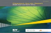 Middle East and North Africa cleantech survey - EY
