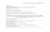 UNIVERSITÉ DE GRENOBLE Maricica – Mirela ION Amélioration de ...
