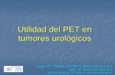 Utilidad de la PET-TC en tumores urológicos