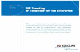 SIP Trunking: IP Telephony for the Enterprise