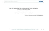 MANUAL ANULACIÓN DE COMPROBANTES ELECTRÓNICOS (3)