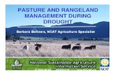 PASTURE AND RANGELAND MANAGEMENT DURING DROUGHT