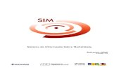 Manual de Instalação do SIM