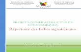 repertoire de projets d'infrastructures strategiques du cameroun3