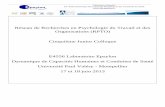 Réseau de Recherches en Psychologie du Travail et des ...
