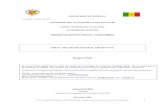 SCA - Rapport_final_sous secteur textile Artisanat.pdf