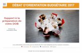 DÉBAT D'ORIENTATION BUDGÉTAIRE 2017 Support à la ...