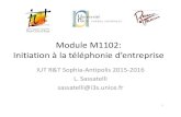 Module M1102: Initiation à la téléphonie d'entreprise