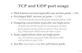 TCP and UDP port usage