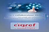 CIGREF - Le "collaborateur 2020" - Son profil, ses compétences ...