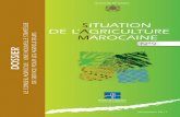 DE L'AGRICULTURE MAROCAINE SITUATION