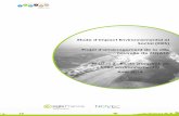 Etude d'Impact Environnemental et Social (EIES) Projet d ...